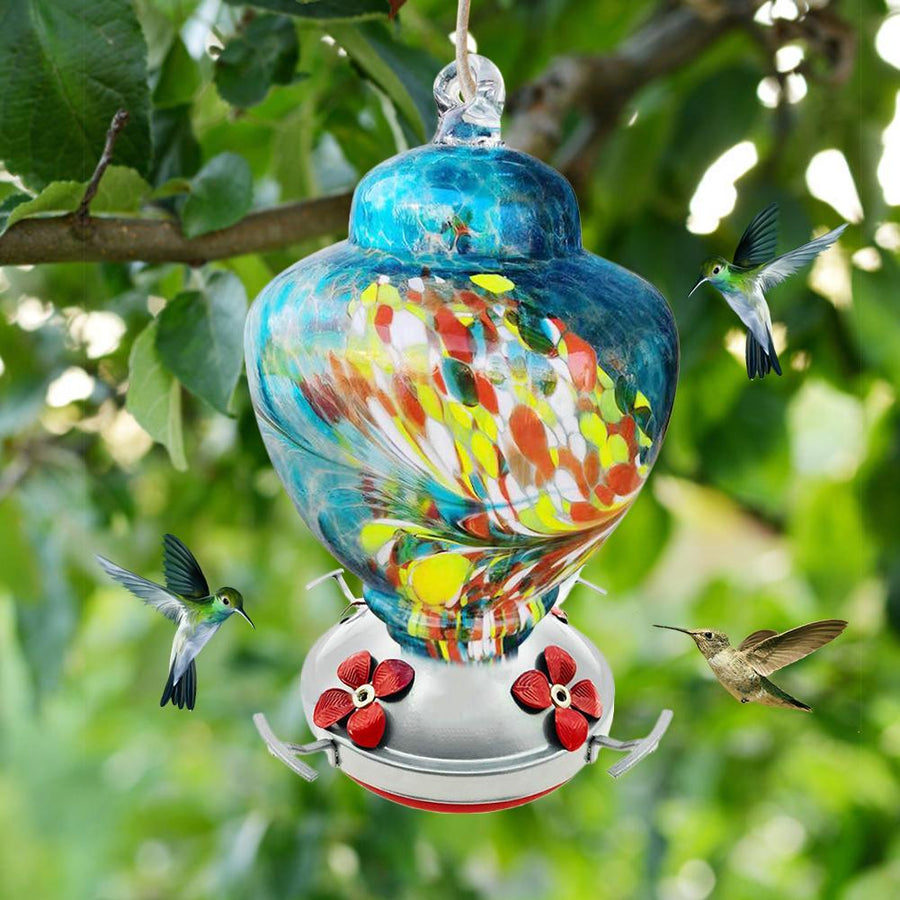 Hummingbird Feeders Beautiful Glass